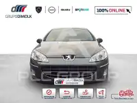 2009 Peugeot 407