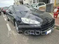 2009 Peugeot 407