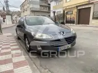 2009 Peugeot 407