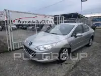 2009 Peugeot 407