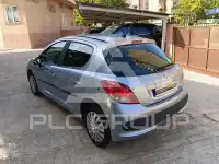 2009 Peugeot 207