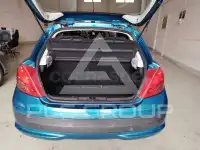 2009 Peugeot 207
