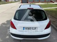 2009 Peugeot 207