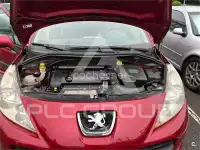 2009 Peugeot 207