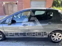 2009 Peugeot 308