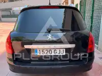 2009 Peugeot 308