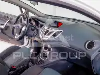 2009 Ford FIESTA