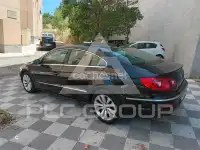 2009 Volkswagen Passat