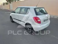 2010 Skoda Fabia