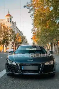 2010 Audi R8