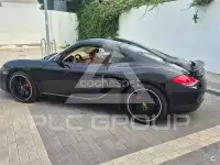 2010 Porsche Cayman