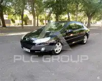 2010 Peugeot 407