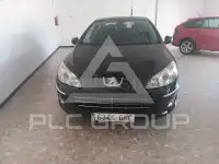 2010 Peugeot 407