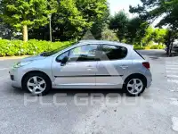 2010 Peugeot 207