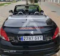 2010 Peugeot 207