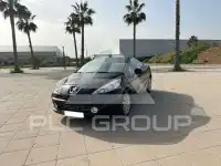 2010 Peugeot 207