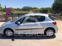 2010 Peugeot 207