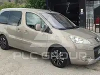 2010 Peugeot Partner