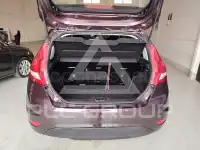 2010 Ford FIESTA