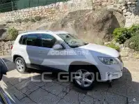2010 Volkswagen Tiguan
