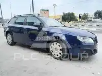 2010 Seat Exeo