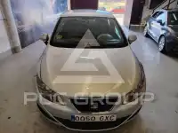 2010 Seat Ibiza