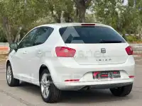 2010 Seat Ibiza