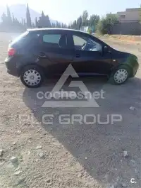 2010 Seat Ibiza