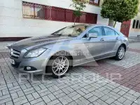2011 Mercedes Benz CLS-Class