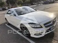 2011 Mercedes Benz CLS-Class