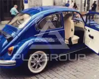 2011 Volkswagen BEETLE