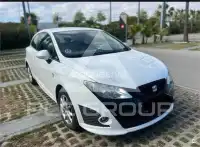 2011 Seat Ibiza