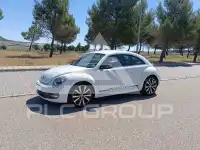 2012 Volkswagen BEETLE