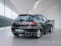 2012 Seat Ibiza
