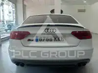 2013 Audi S5