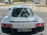 2013 Audi R8