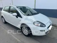 2013 Fiat Punto