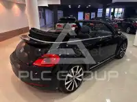 2013 Volkswagen BEETLE
