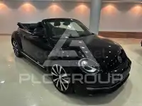 2013 Volkswagen BEETLE