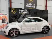 2013 Volkswagen BEETLE