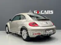 2013 Volkswagen BEETLE