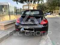 2013 Volkswagen BEETLE