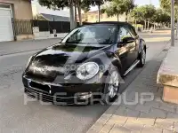 2013 Volkswagen BEETLE