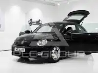 2013 Volkswagen BEETLE