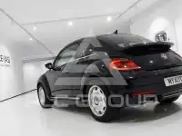 2013 Volkswagen BEETLE