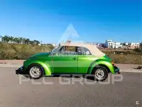 2013 Volkswagen BEETLE