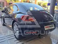 2013 Volkswagen BEETLE