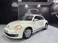 2013 Volkswagen BEETLE