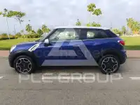 2014 Mini Paceman