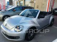 2014 Volkswagen BEETLE